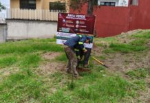 Rescata Ayuntamiento área verde en el fraccionamiento Los Pinos