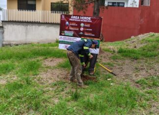 Rescata Ayuntamiento área verde en el fraccionamiento Los Pinos
