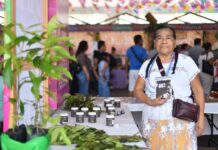 Yolpaki, vitrina viva de los saberes y la riqueza de la tierra veracruzana.