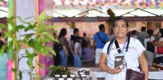 Yolpaki, vitrina viva de los saberes y la riqueza de la tierra veracruzana.