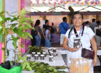 Yolpaki, vitrina viva de los saberes y la riqueza de la tierra veracruzana.