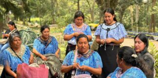 Realizan SECVER y FONART tercera jornada de acopio artesanal en Xalapa.