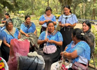 Realizan SECVER y FONART tercera jornada de acopio artesanal en Xalapa.