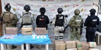 Asegura SSP más de 92 kilos de presunta droga y detiene a 31 personas.
