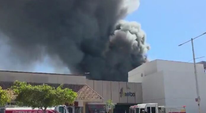 Devastador incendio en Los Mochis Sinaloa deja 5 fallecidos y decenas de heridos