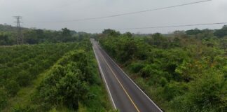 La infraestructura es motor económico; el sur concentra obras estratégicas: Rocío Nahle