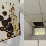 Abogados denuncian condiciones “inhumanas” en juzgados de Palma Sola por falta de clima y apagones.