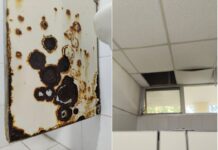 Abogados denuncian condiciones “inhumanas” en juzgados de Palma Sola por falta de clima y apagones.