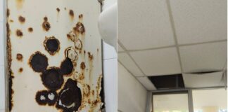 Abogados denuncian condiciones “inhumanas” en juzgados de Palma Sola por falta de clima y apagones.