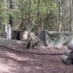 FGR cita a casi 50 participantes del operativo que desmanteló laboratorio clandestino en Chihuahua.