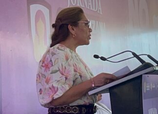 Veracruzana Protegida busca brindar atención integral a las mujeres veracruzanas
