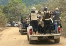 CNI llama a acción global ante ataques y desplazamientos contra comunidades indígenas en Guerrero