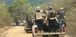 CNI llama a acción global ante ataques y desplazamientos contra comunidades indígenas en Guerrero