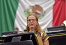 Impulsan reforma constitucional en materia de no reelección y nepotismo electoral