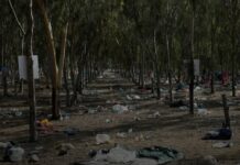 Violencia sexual de Hamás el 7 de octubre fue sistemática: estudio
