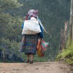 El retorno forzado. Violencia y vacío estatal para migrantes guatemaltecas