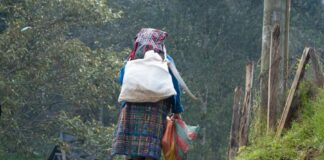El retorno forzado. Violencia y vacío estatal para migrantes guatemaltecas