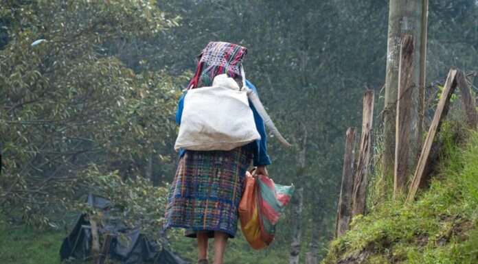 El retorno forzado. Violencia y vacío estatal para migrantes guatemaltecas