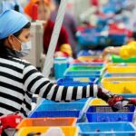 Vida y trabajo de mujeres “pagan el precio” por deuda de países: PNUD