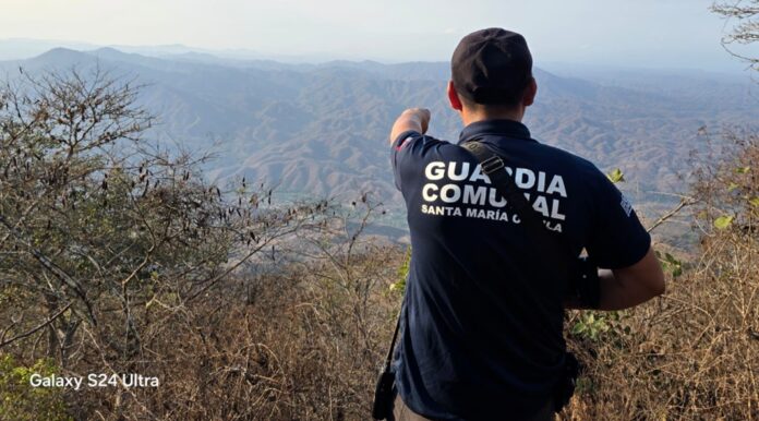 OSTULA foto