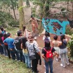 Tradición y arte llenan recintos culturales de Xalapa con actividades gratuitas