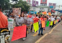 Rescatistas marchan en Xalapa para exigir sanciones por maltrato animal.