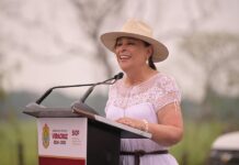 Los chinantecos también son veracruzanos: Rocío Nahle arranca obras carreteras en Tierra Blanca