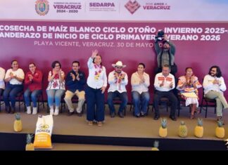 Desde Playa Vicente, Rocío Nahle anuncia que Veracruz triplicó apoyo al maíz y alcanzó cobertura para 60 mil hectáreas