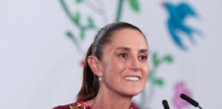 Sheinbaum afirma que México mantiene vigilancia epidemiológica por virus del ébola, hantavirus y olas de calor