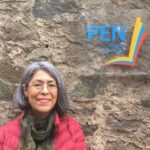 Reciben múltiples agresiones digitales la periodista Teresa Montaño y The Observer Mx.