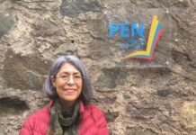 Reciben múltiples agresiones digitales la periodista Teresa Montaño y The Observer Mx.