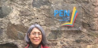 Reciben múltiples agresiones digitales la periodista Teresa Montaño y The Observer Mx.