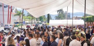 Oferta STPSP más de 2 mil vacantes de empleo .