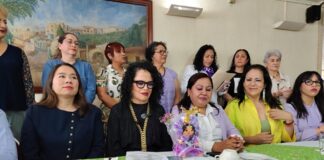 Veracruz, en primeros lugares por violencia política de género: Mónica Mendoza