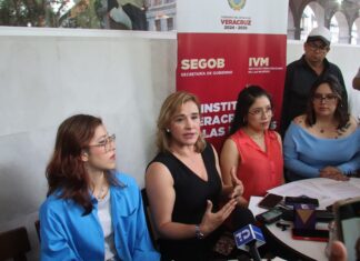 IVM descarta aumento de violencia contra mujeres en Veracruz; refuerzan jornadas de atención y prevención.