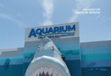 Vive Yolpaki al máximo con la Ruta turística Color, Sabor y Aroma en Veracruz