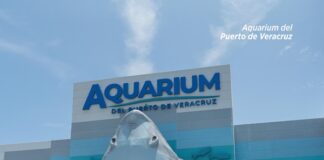 Vive Yolpaki al máximo con la Ruta turística Color, Sabor y Aroma en Veracruz