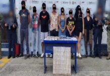 Decomisa SSP Veracruz más de 11 kilos y 500 dosis de presunta droga y detiene a 56 personas