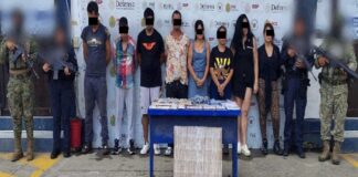 Decomisa SSP Veracruz más de 11 kilos y 500 dosis de presunta droga y detiene a 56 personas