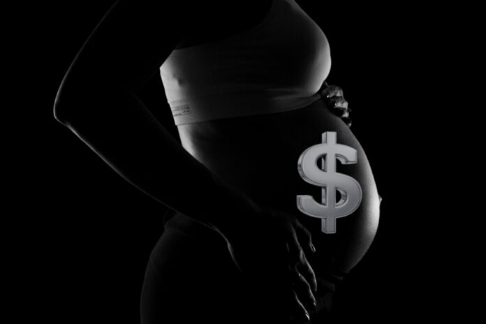 maternidad subrogada diseño
