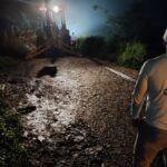 Gobierno de Veracruz mantiene coordinación permanente ante afectaciones por lluvias