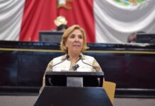 Conmemora diputada el Día de la Libertad de Expresión.