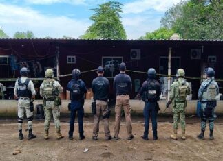 SSP y fuerzas federales aseguran armamento, granadas y droga en Tierra Blanca