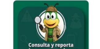 Lanzan plataforma para detectar números ligados a estafas