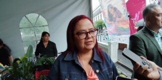 Lluvias alivian crisis de agua en Xalapa, pero agravan problemas de infraestructura: Daniela Griego.