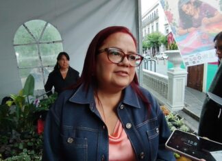 Se invertirán 6 mdp para rehabilitar tramo afectado en Boulevard Yanga: Daniela Griego