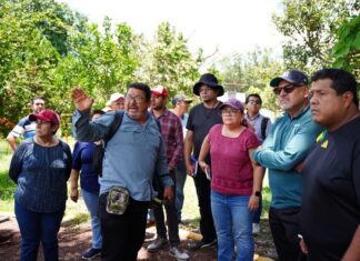 En territorio, Daniela Griego atendió demandas ciudadanas en el Infonavit Sumidero