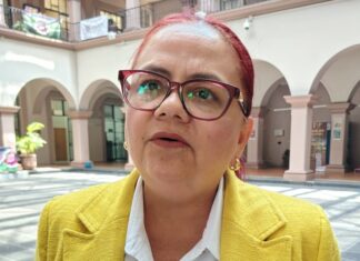 Alcaldesa de Xalapa: Avanza programa de bacheo y anuncia reencarpetado en Ruiz Cortines.