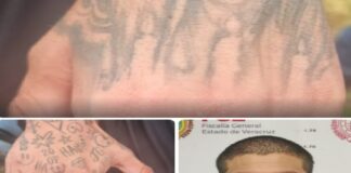 Confirman detención de presunto líder criminal y a cuatro policías municipales por caso de la periodista Roxana Guzmán.