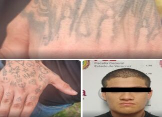 Confirman detención de presunto líder criminal y a cuatro policías municipales por caso de la periodista Roxana Guzmán.